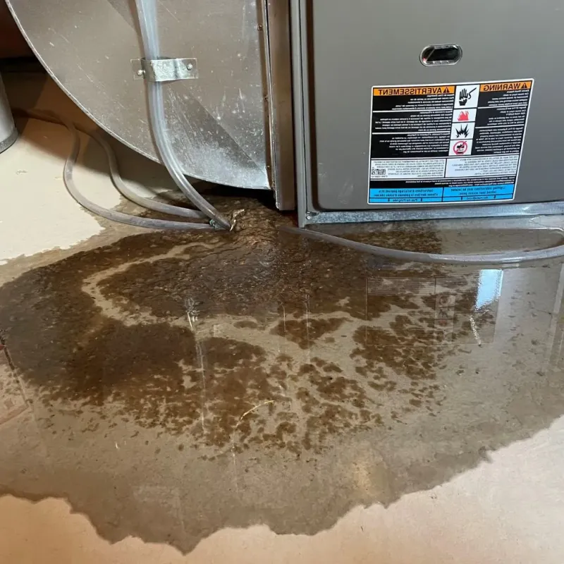Pipe Burst and Leak Restoration in Herndon, VA
